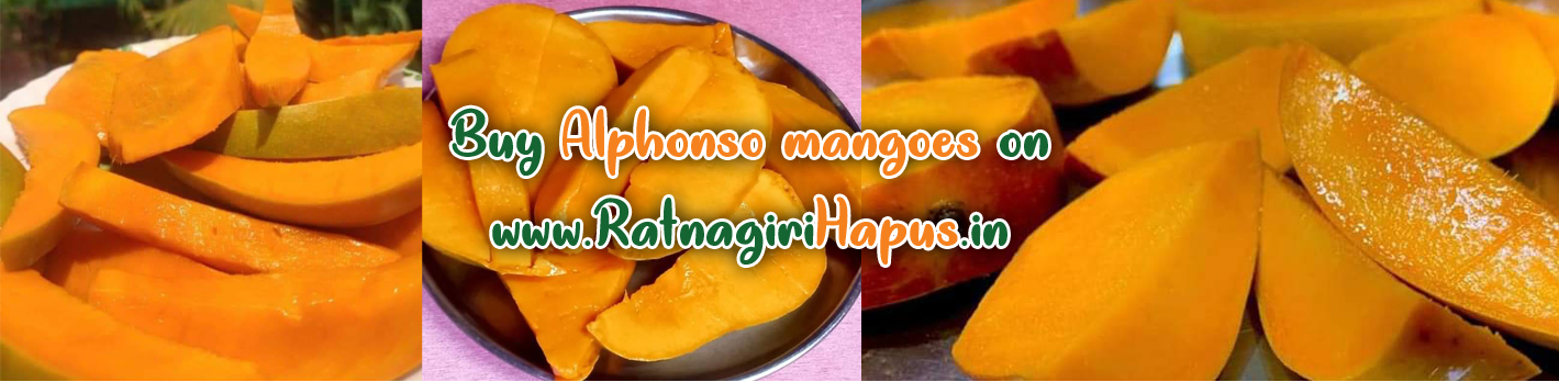Devgad Mangoes