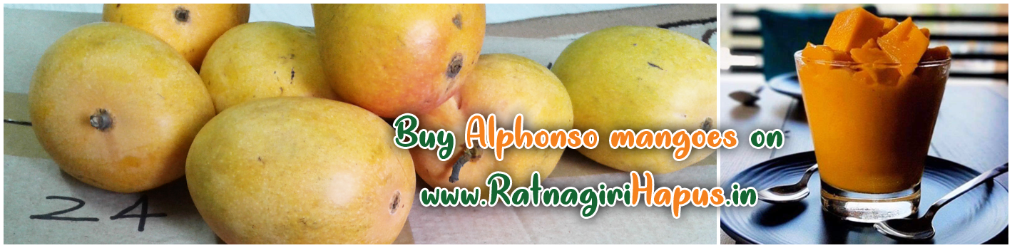 Ratnagiri Hapus